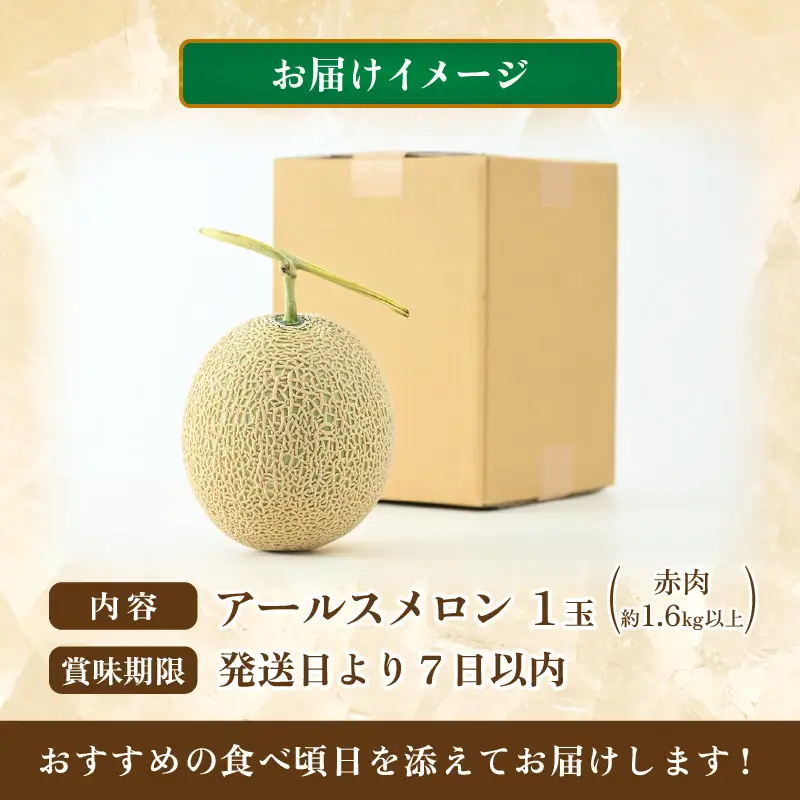 【先行予約】【赤肉】秋 アールスメロン 1玉（約1.6kg以上） 高級メロン！ ／ マスクメロン 大玉 果物 フルーツ 夏 ギフト 農家直送 ※2026年9月中旬以降発送  [aw065-a010]