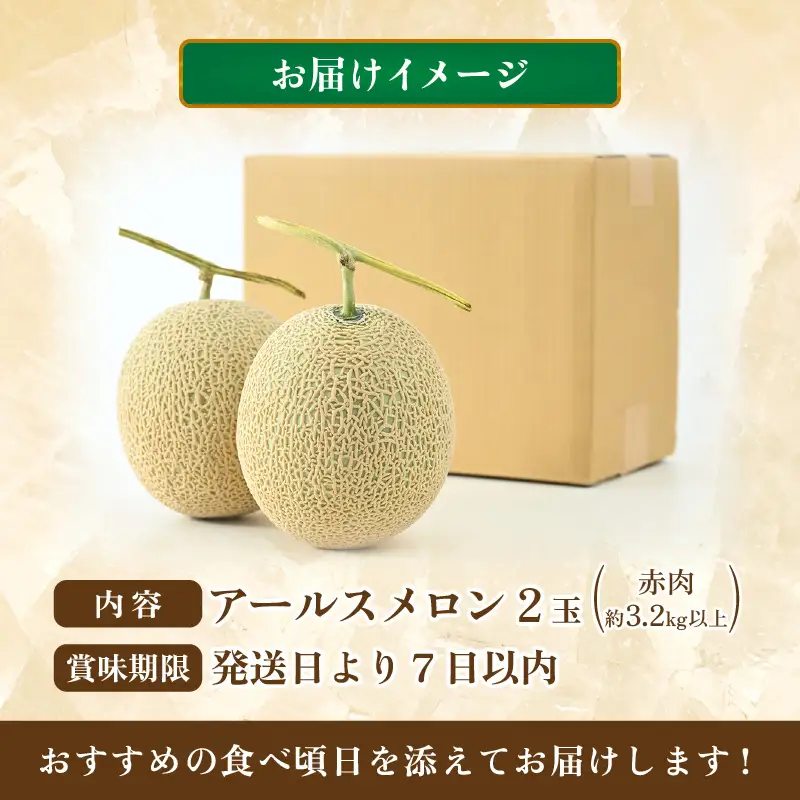 【先行予約】【赤肉】秋 アールスメロン 2玉（計約3.2kg以上）赤肉品種 高級メロン！ ／ マスクメロン 大玉 果物 フルーツ 夏 ギフト 農家直送  ※2026年9月中旬以降発送  [aw065-a011]