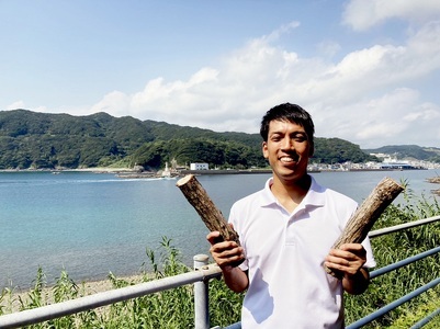 薪 約10kg（１箱）乾燥済 ウバメガシ うばめがし 約30cm 焚き火 たきび キャンプ 薪ストーブ 暖炉 囲炉裏 アウトドア バーベキュー BBQ 災害備蓄 防災グッズ 広葉樹【R01604】