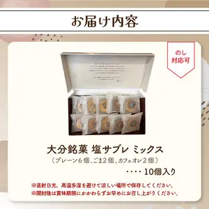 大分銘菓 塩サブレ ミックス 10個入り J01035