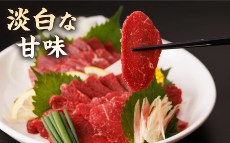 馬刺し 特盛！バラエティセット 6種類 5・6人前  ＋タレ大【馬刺しの郷 民守】馬肉 熊本県 特産品 6種馬刺し タレ付き [ZBL015]