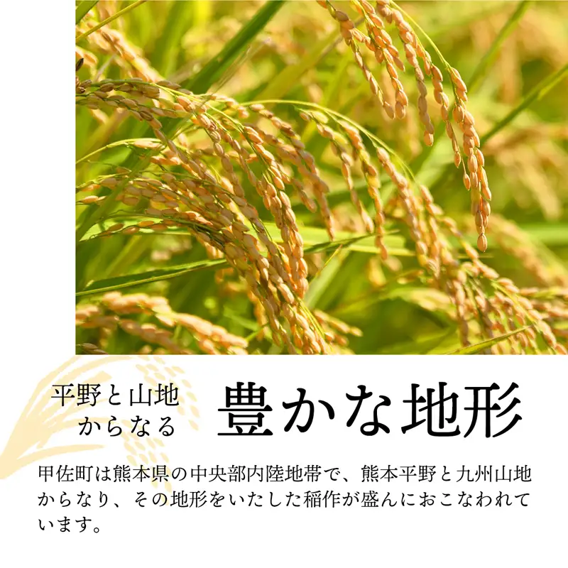 無洗米 ブレンド米 甲佐の輝き 10kg 訳あり 令和7年産 【価格改定ZK】
