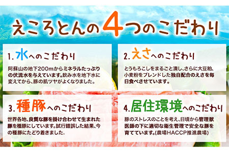 熊本県産 ブランド豚 えころとん使用 とにかく美味しいギフトセット 合計800g以上 一般社団法人すまいる ワークプレイス絆 《90日以内に出荷予定(土日祝除く)》 味噌豚 とんかつ コロッケ えころとん ギフト 豚肉