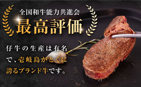 壱岐牛 シャトーブリアン 120g×2枚 《壱岐市》【中津留】[JFS005] 肉 牛肉 和牛 ヒレ ステーキ ヒレステーキ 2枚 冷凍配送 33000 33000円 九州