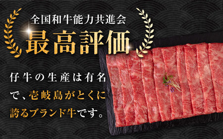 【お中元】壱岐牛 ロース すき焼き・しゃぶしゃぶ用 550g《壱岐市》【中津留】 サーロイン リブロース 肩ロース すき焼き しゃぶしゃぶ 牛肉 [JFS016] 33000 33000円