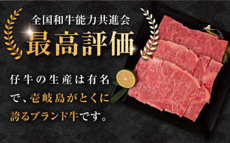 【全6回定期便】壱岐牛 ロース 焼肉用 550g《壱岐市》【中津留】 焼肉 BBQ 牛肉 赤身 [JFS061] 198000 198000円