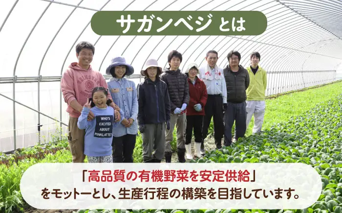 【全6回定期便】ビーガン米 白米 計60kg（10kg×6回） / 佐賀県 / 株式会社サガンベジ [41ANCH008]