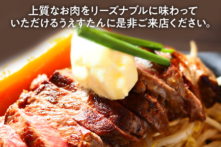 うえすたん ランチもディナーも使える お食事券 3000円分 （1000円×3枚） お食事券 納税 支援品 返礼品 支援 返礼 お礼の品 チケット 券 お食事券 食事券 ディナー 食事 レストランチケット 夕食 美味しい おいしい