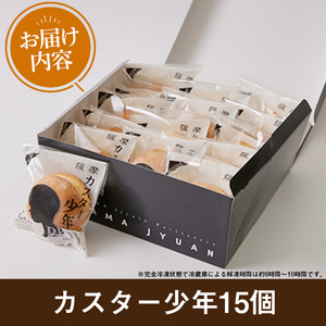 No.1048 カスター少年(15個入)鹿児島 日置市 特産品 お菓子 洋菓子 菓子 おかし スイーツ おやつ  カスタード クリーム 冷凍 冷凍配送 ギフト【青山じゅあん】