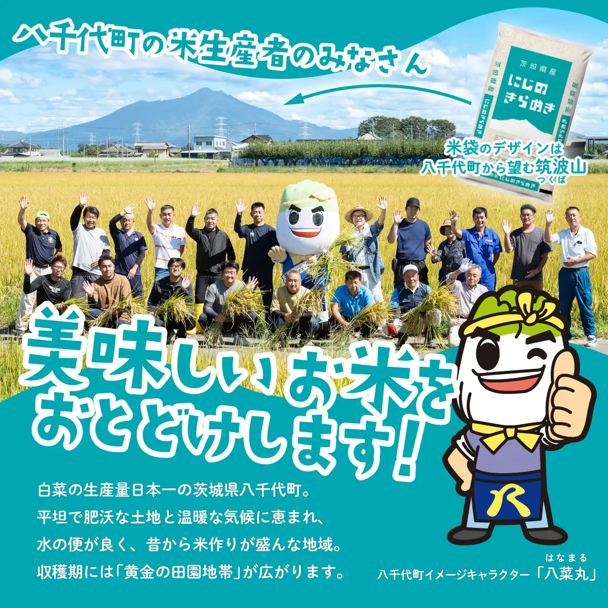 【令和7年産】精米 にじのきらめき 10kg スピード発送 白米 10kg(5kg×2袋)