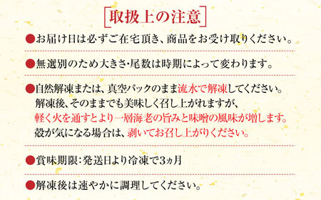 車海老みそ漬 計450g（車海老250g、味噌200g） / 佐賀県 / 株式会社 拓水伊万里クルマエビセンター [41AEAJ001]