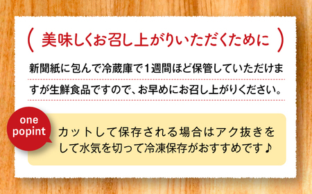 【2026年度発送分 先行予約】有機（オーガニック）泥付き蓮根3kg / 佐賀県 / 吉田農園 [41AHAE003]