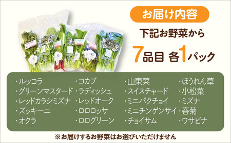 サガンベジオーガニックサラダミニセット 7種×1パック 有機JAS / 佐賀県 / 株式会社サガンベジ [41ANCH001]