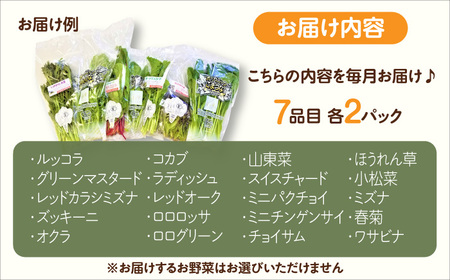 【全6回定期便】オーガニック葉物野菜セット 7種×2パック 有機JAS / 佐賀県 / 株式会社サガンベジ [41ANCH006]