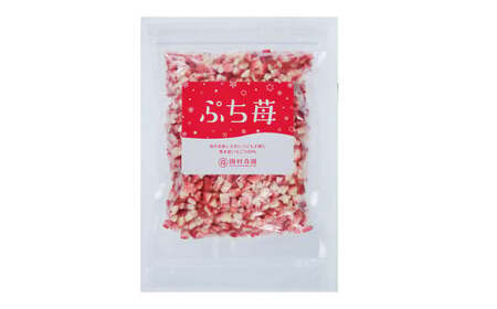 いちご 【6ヶ月定期便】冷凍いちご 1㎏ (500g×2パック) 【定期便6ヶ月】完熟冷凍いちご「ぷち苺」1kg 500g×2パック 園村苺園 熊本県産冷凍いちご 宇城市産冷凍いちご 九州産冷凍いちご 