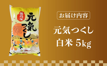 【令和7年産】福岡県産ブランド米「元気つくし」白米 5kg【2025年11月以降順次発送】 [ABDD001] 