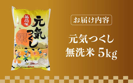 【令和7年産】福岡県産ブランド米「元気つくし」無洗米 5kg【2025年11月以降順次発送】 [ABDD002] 