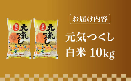 【先行予約】【令和7年産】福岡県産ブランド米「元気つくし」白米 10kg (5kg×2袋)【2025年11月以降順次発送】 [ABDD003] 