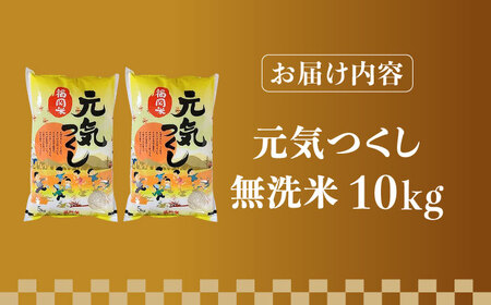 【令和7年産】福岡県産ブランド米「元気つくし」無洗米 10kg (5kg×2袋)【2025年11月以降順次発送】 [ABDD004] 