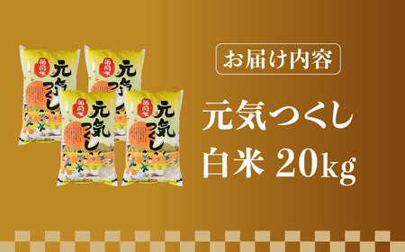 【令和7年産】福岡県産ブランド米「元気つくし」白米 20kg (5kg×4袋)【2025年11月以降順次発送】 [ABDD005] 