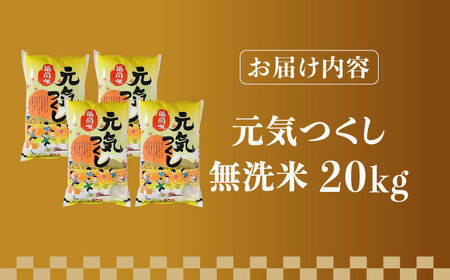 【先行予約】【令和7年産】福岡県産ブランド米「元気つくし」無洗米 20kg (5kg×4袋)【2025年11月以降順次発送】 [ABDD006] 