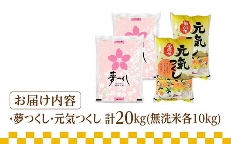 【先行予約】【令和7年産】福岡県産米食べ比べ「夢つくし」と「元気つくし」セット 無洗米 計20kg【2025年11月以降順次発送】 [ABDD016] 
