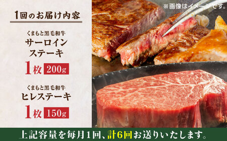 【6回定期便】くまもと黒毛和牛 ステーキ食べ比べ ヒレステーキ サーロインステーキ【馬刺しの郷 民守】 食べ比べセット ヒレ サーロイン ステーキ  [ZBL085]