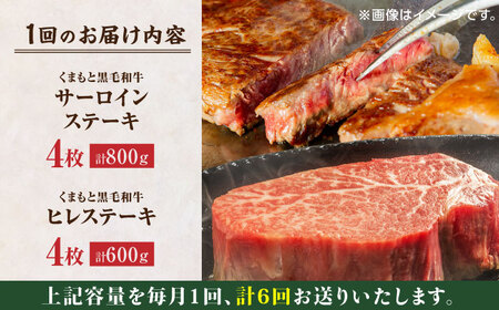 【6回定期便】くまもと黒毛和牛 ステーキ食べ比べ ヒレステーキ×4枚 サーロインステーキ×4枚【馬刺しの郷 民守】 食べ比べセット ヒレ サーロイン ステーキ  [ZBL087]
