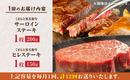 【12回定期便】くまもと黒毛和牛 ステーキ食べ比べ ヒレステーキ サーロインステーキ【馬刺しの郷 民守】 熊本 霜降り ヒレ サーロイン ステーキセット  [ZBL113]