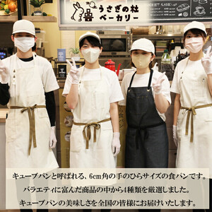 うさぎの杜　手のひら食パン（純生・ショコラ・抹茶・練乳・塩バター）計12個