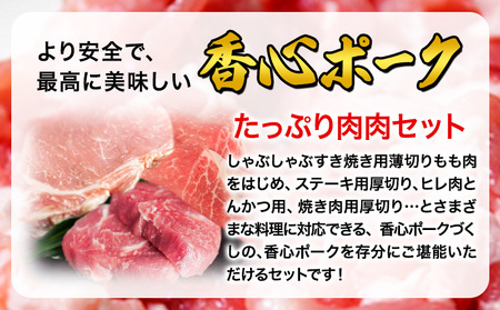 香心ポーク たっぷり肉肉セット 約2.8kg以上 有限会社コーシン《30日以内に出荷予定(土日祝除く)》 熊本 大津町 豚肉 豚 もも肉 モモ肉 ステーキ しゃぶしゃぶ すき焼き とんかつ 焼肉 送料無料