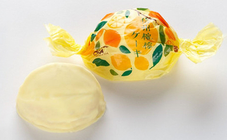 【御菓子処花岡】胡桃の醍醐味（チーズケーキ）と檸檬ケーキの詰め合わせ