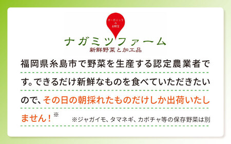 枝豆 500g 冷凍 旬の時期に急速冷凍 【福岡県糸島産】 糸島市 / オーガニックナガミツファーム 野菜 えだまめ 	[AGE042]
