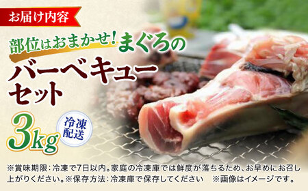 まぐろ おまかせバーベキューセット 冷凍約3kg 鮪 マグロ BBQ 魚 横須賀【横須賀商工会議所 おもてなしギフト事務局（本まぐろ直売所 横須賀本店）】 [AKAK004]