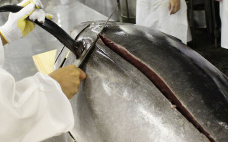 まぐろ ねぎとろ 約1kg   [AKAK005]ねぎとろ