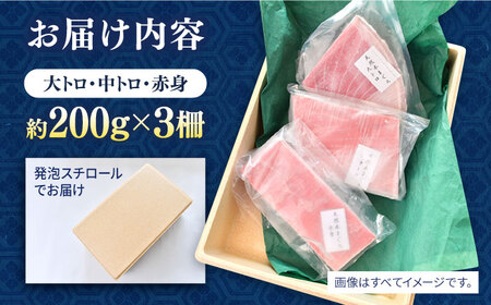 天然 本まぐろ 大トロ・中トロ・赤身（約200ｇ×3柵）約600ｇ 鮪 マグロ 魚 刺身 横須賀 【横須賀商工会議所 おもてなしギフト事務局（本まぐろ直売所 横須賀本店）】 [AKAK018]