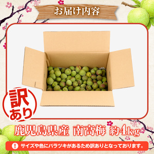 訳あり！鹿児島県産 南高梅(約4kg) 国産 果物 梅 うめ ウメ ナンコウウメ 和食 梅干し 梅酒 梅シロップ 訳アリ サイズ混合 期間限定【松永青果】akn053-09