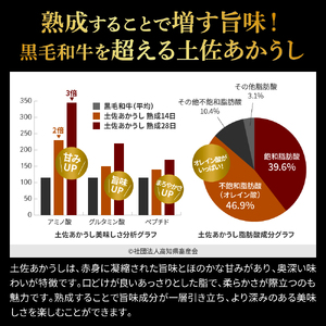 土佐あか牛協会が認定する「土佐熟成あかうし」特選カルビ サイコロステーキ 250g 
