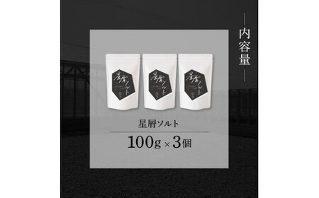 銀象ソルト Ginzo-Salt 星屑ソルト 100g×3個セット 合計300g 塩 しお 調味料 天日塩 完全天日塩 国産 高知県産 ソルト ミネラル 健康 料理 調理 お塩 塩【塩杜氏銀象】 [BQBX004]
