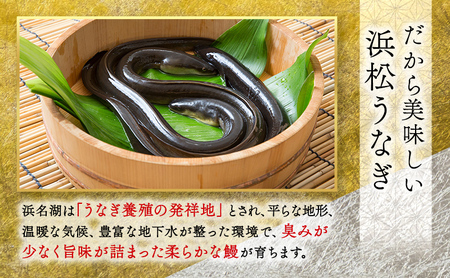 お食事券 うなぎ 浜松市24店舗で使える 3000円 食事券 補助券 チケット レストラン 料理屋 鰻 ウナギ 土用の丑の日 静岡 静岡県 浜松市