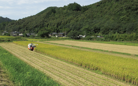 【令和7年産 数量限定】 四万十 の 米どころ 山間地域で育てた 大宮米 ヒノヒカリ 10kg 高知県 高知 しまんと 国産 お米 米 白米 精米 ひのひかり 低農薬栽培 ご飯 産地直送 26-789