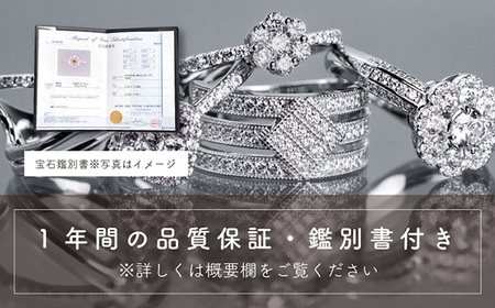 ダイヤ 指輪 pt900 ダイヤモンド ハーフエタニティ リング 0.08ct 鑑別書 保証書 ケース 付 ジュエリー アクセサリー 宝石 プラチナ ギフト プレゼント 贈り物 記念日 お祝い 誕生日 人気 高級 山梨県 西桂町 [注目]【n0476_liz_C】
