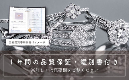 ダイヤ pt900 ダイヤモンド リング ネックレス 2点 セットt 鑑別書 保証書 ケース 付 ジュエリー アクセサリー 指輪 ペンダント 宝石 プラチナ ギフト プレゼント 贈り物 記念日 お祝い 誕生日 人気 高級 山梨県 西桂町【n0482_liz_C】