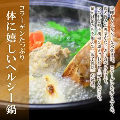 Z69-21 寄附額改定↓↓ おどろきっちん 博多水炊きセット 2～3人前 水炊き
