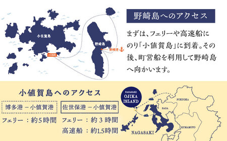 野崎島・トンギ山トレッキング（1名様）トレッキング 世界遺産 体験 お一人様 １名様 長崎県 五島列島 町 野崎島 [DAJ013]