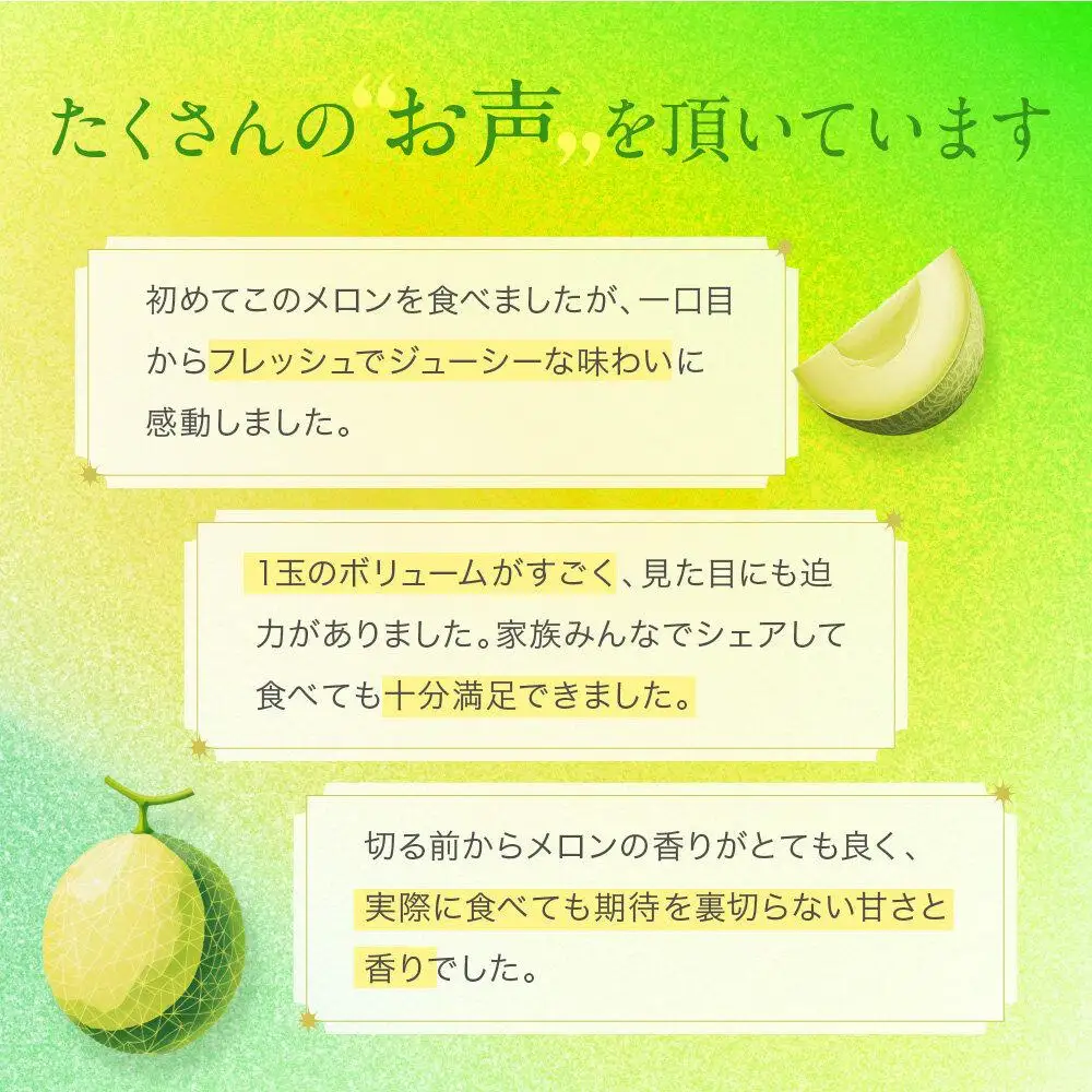 御前崎市産アローマメロン（白）1玉入り｜マスクメロン フルーツ 果物 くだもの デザート ギフト 贈答 プレゼント 箱入 静岡