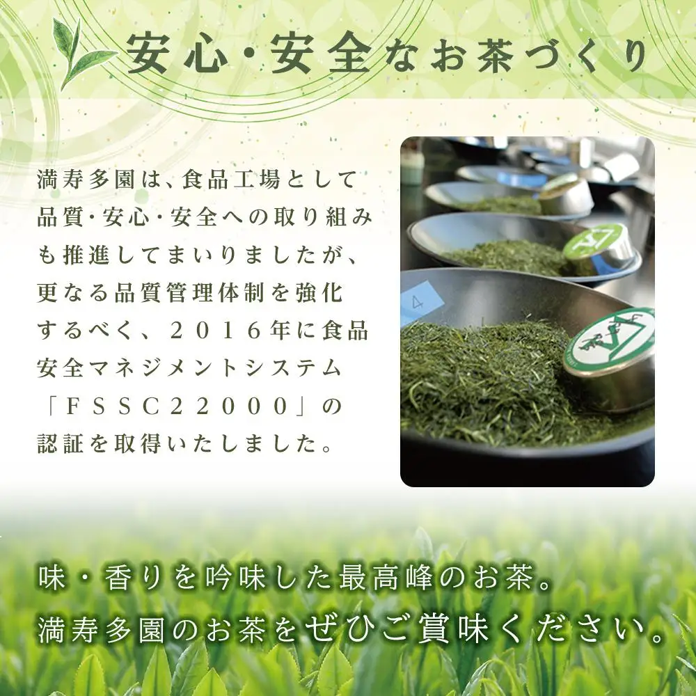 天皇杯受賞茶園 やままのお茶　特蒸し一番茶仕立　やぶきた茶