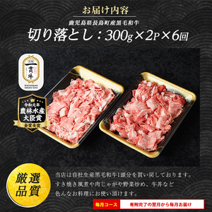 ＜定期便・毎月全6回＞宮路ファームの黒毛和牛切り落とし(300g×2パック) 鹿児島県産 切り落とし 牛肉 すき焼き パック詰め 肉じゃが 牛丼 野菜炒め 農林水産大臣賞 肉 しゃぶしゃぶ 国産黒毛和牛 焼肉 定期便【宮路ファーム】f-miyaji-1616