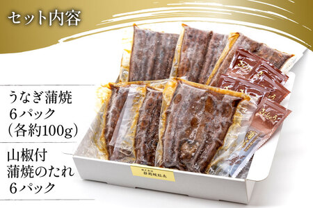 うなぎ 国産 静岡 うなぎ蒲焼 ハーフカット 100g ×6 計600g [静岡鰻販売 静岡県 吉田町 22424172]