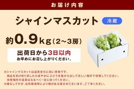 【2026年発送分 先行予約】根域制限シャインマスカット 約0.9kg 2～3房《9月中旬頃から発送》 果物 シャインマスカット 先行予約 【183_1881】